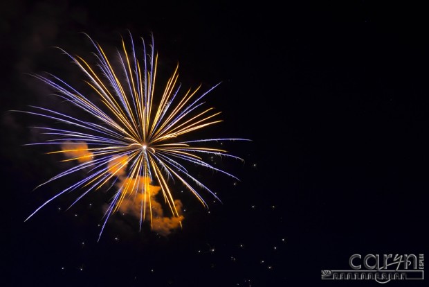 Caryn Esplin - Fireworks - Purple Solo