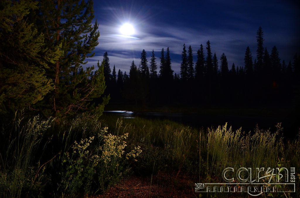 Light Painting the Moon