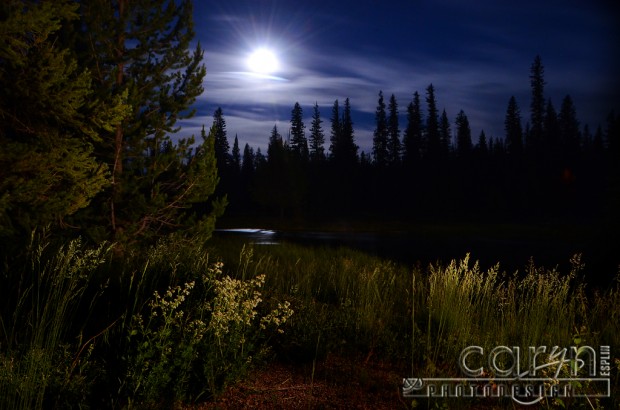 Light Painting - Moon shine - Buffalo River - Island Park, Idaho