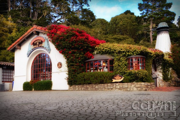 Flowering Vines - Carmel Highlands General Store - Carmel, CA - Hwy 1 - San Francisco Bay Area - Caryn Esplin