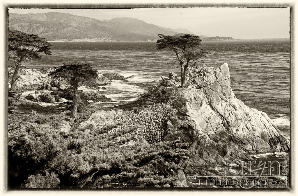 Iconic Lone Cypress – 17-mi – Pebble Beach