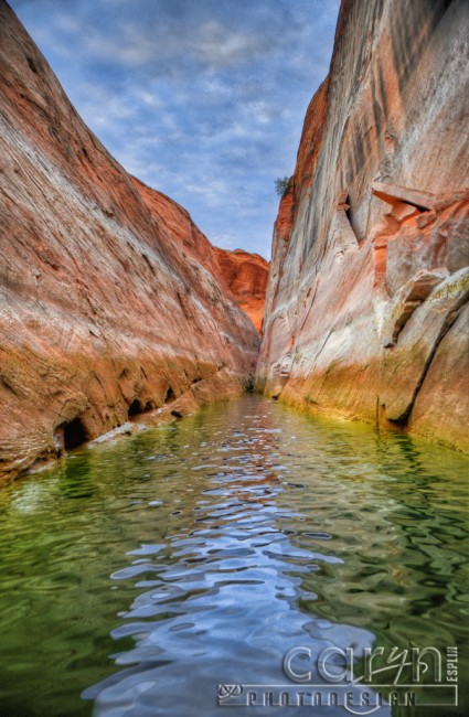 Lake Powell Canyon Finger- HDR - Caryn Esplin