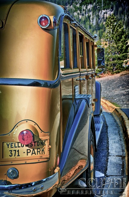 Yellowstone Park Bus - Rear View- Caryn Esplin