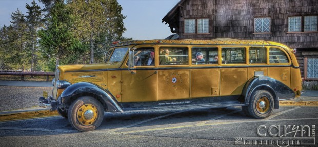 Yellowstone Park Bus - Side View - Caryn Esplin