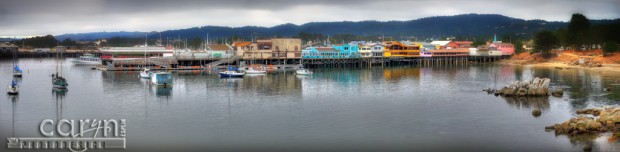 Caryn Esplin - Monterey Bay Pano