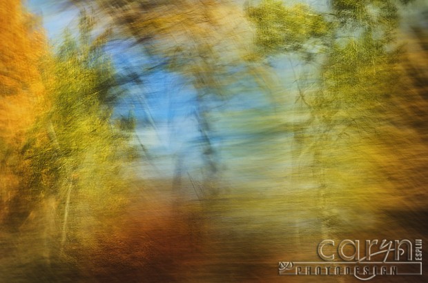 Car Window Autumn Abstract - Fall Spalsh of Color - Palisades, ID - Jackson WY - Caryn Esplin