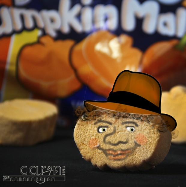 Caryn Esplin - Pumpkin Mallow Photoshop Contest