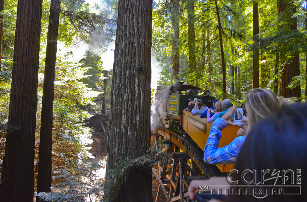 Roaring Camp Railroad in Felton, CA