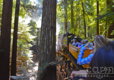 Roaring Camp Railroad in Felton, CA