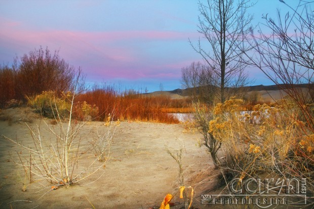 Egin Lakes - Pastel Sunrise - St. Anthony, Idaho Sand Dunes - Caryn Esplin