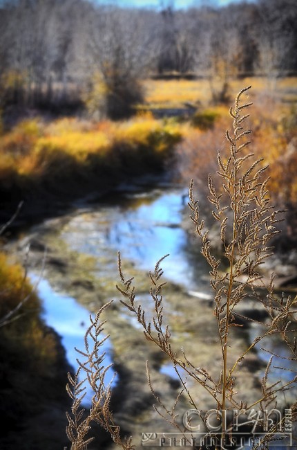 Cress Creek Idaho - Fall Color - Heise Hot Springs Area - Caryn Esplin