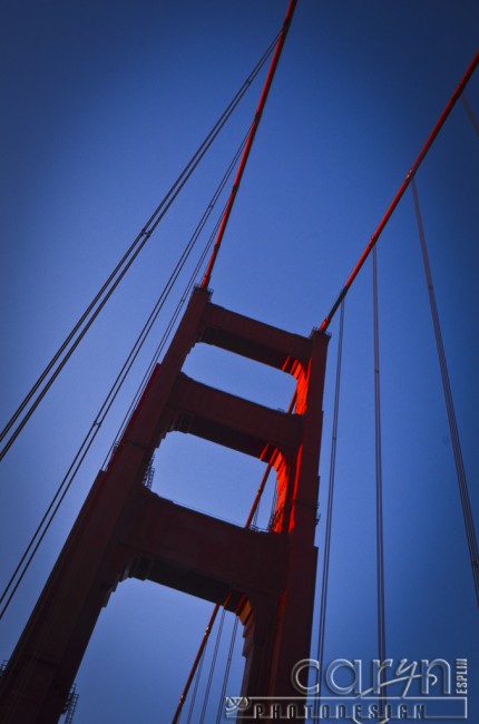 Caryn Esplin - Golden Gate Bridge - Suspension - San Francisco