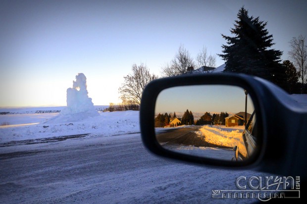 CarynEsplin-IceSculpture-RearView