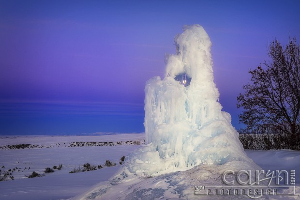 CarynEsplin-Winter-IceSculpture