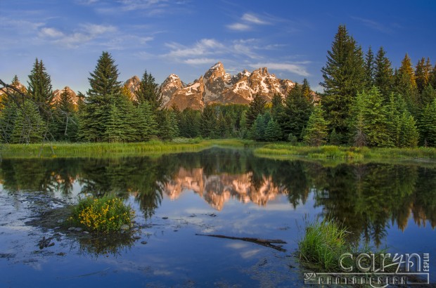 Schwabacher Landing - Grand Teton National Park - Caryn Esplin - Great Northwest - Fine Art Photography