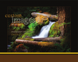 Custom Images: Photoshop Tips & Tricks - Caryn Esplin