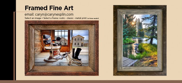 Framed Fine Art Photographic Prints - Photography - Caryn Esplin