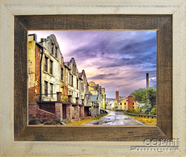 CarynEsplin-NationalParkSeminary-RusticFrame