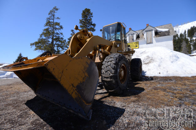 CarynEsplin-CookeCitySnowbank-YellowstoneNationalPark