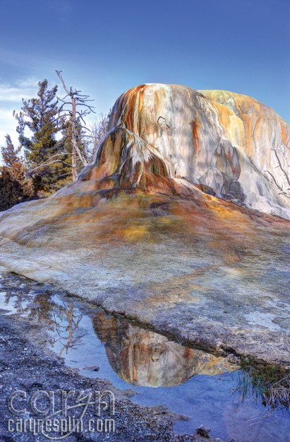 CarynEsplin-MammothHotSprings-YellowstoneNationalPark