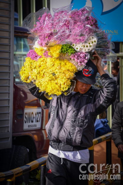 CarynEsplin-Bogota-Colombia-Paloquemao-Market-Exotic-Tropical-Flowers