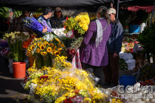 CarynEsplin-Bogota-Colombia-Paloquemao-Market-Exotic-Tropical-Flowers