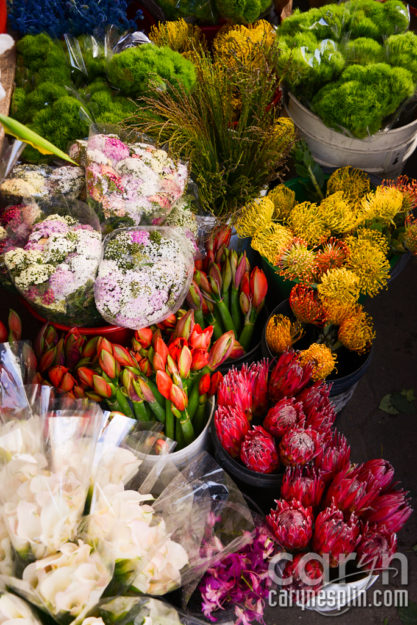 CarynEsplin-Bogota-Colombia-Paloquemao-Market-Exotic-Tropical-Flowers