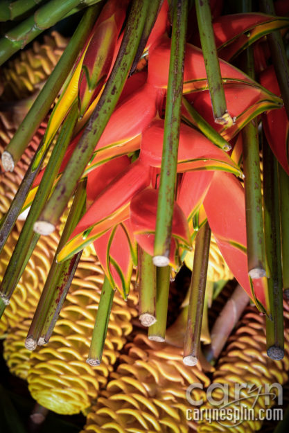 CarynEsplin-Bogota-Colombia-Paloquemao-Market-Exotic-Tropical-Flowers