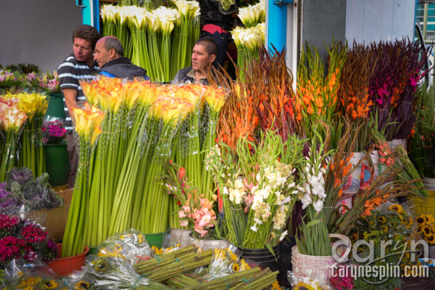 CarynEsplin-Bogota-Colombia-Paloquemao-Market-Exotic-Tropical-Flowers