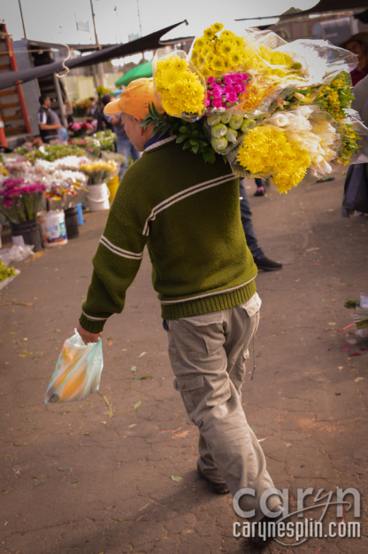 CarynEsplin-Bogota-Colombia-Paloquemao-Market-Exotic-Tropical-Flowers