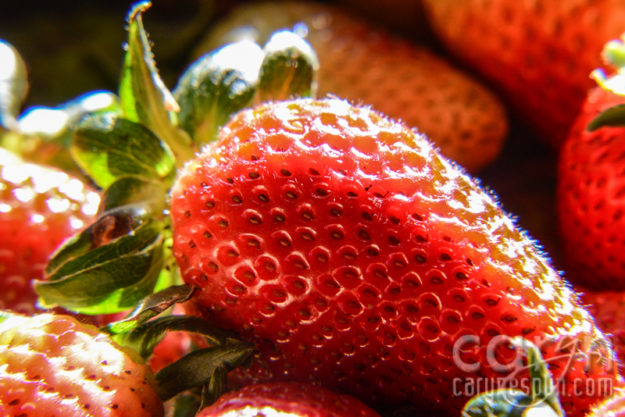 CarynEsplin-BogotaColombia-PaloquemaoMarket-RogueFlashbender-Strawberries