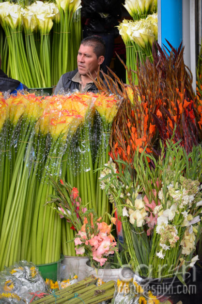 CarynEsplin-Bogota-Colombia-Paloquemao-Market-Exotic-Tropical-Flowers