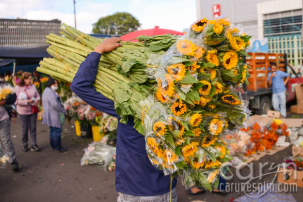 CarynEsplin-Bogota-Colombia-Paloquemao-Market-Exotic-Tropical-Flowers-Sunflowers