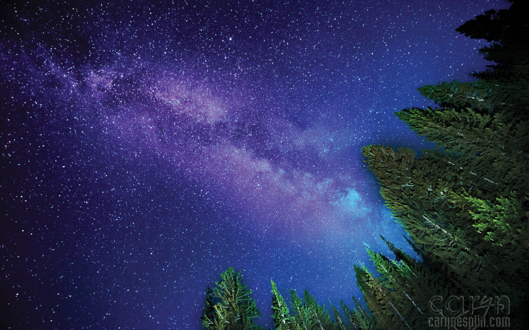 Milky Way Light Paintings: Sliver Lake