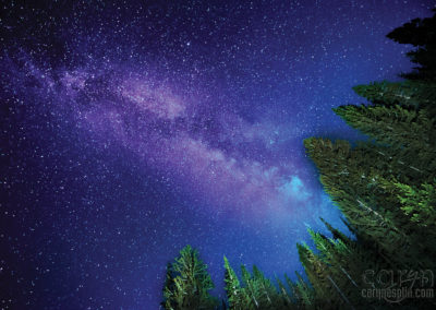 Milky Way Light Paintings: Sliver Lake