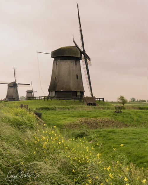 Dutch Windmills - Holland - Netherlands - Caryn Esplin - Sunrise