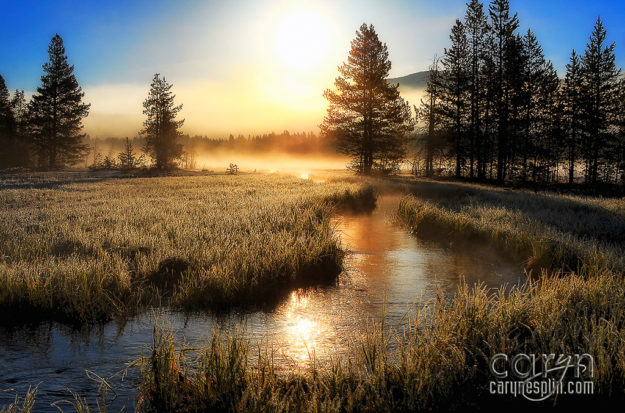 5 Yellowstone Morning