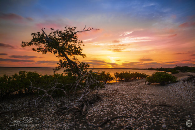 60 Shell Beach Sunset