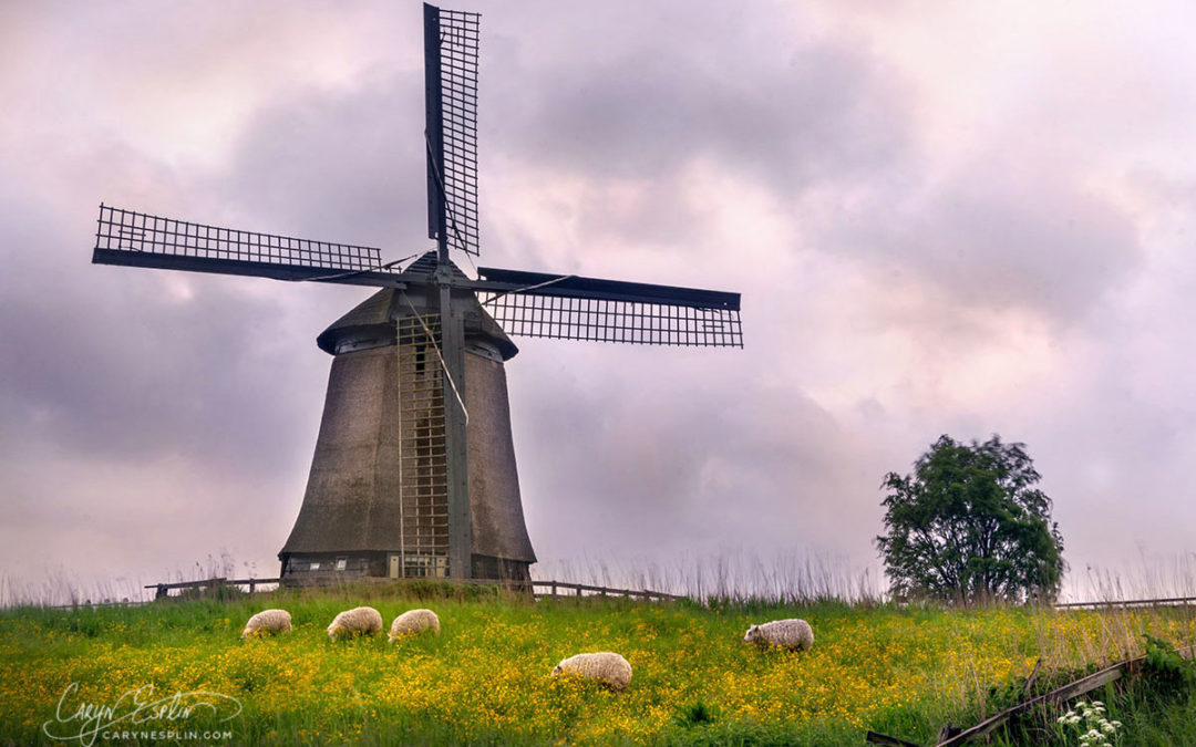 Photo Tips: Ask the Locals — Netherlands Windmills