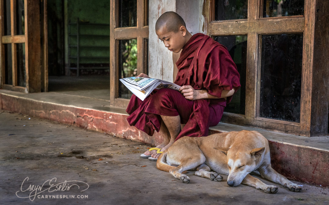 ENLIGHTEN TOUR 2020 – Myanmar – Novice Monk & Dog