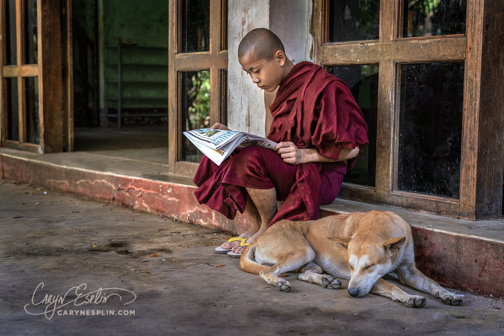 ENLIGHTEN TOUR 2020 – Myanmar – Novice Monk & Dog