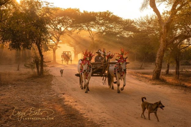 Caryn-Esplin_sunset-old-bagan-dusty-road-myanmar